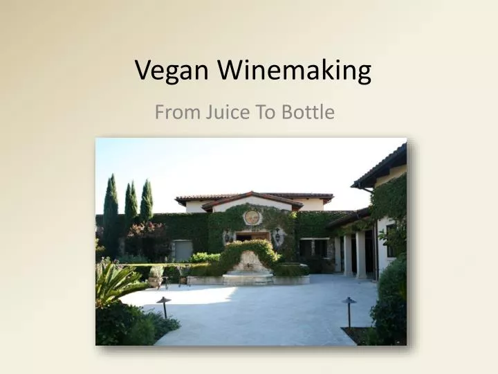 vegan winemaking n.