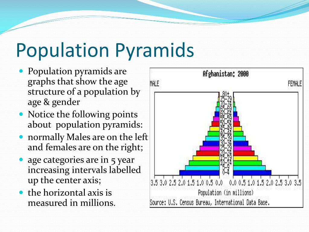 PPT - Population and Growth PowerPoint Presentation, free download - ID ...
