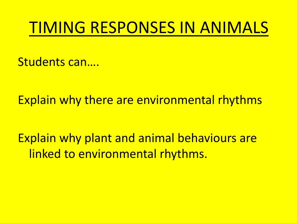 PPT - TIMING RESPONSES IN ANIMALS PowerPoint Presentation, free download -  ID:3146905