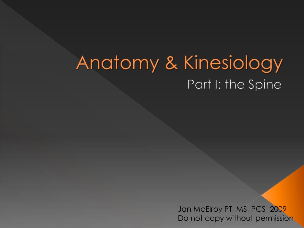 PPT - Anatomy & Kinesiology PowerPoint Presentation, Free Download - ID ...