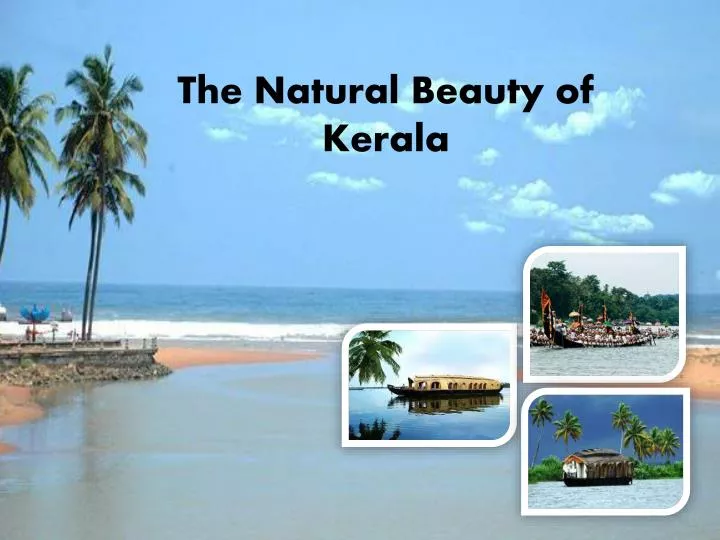 the natural beauty of kerala n.