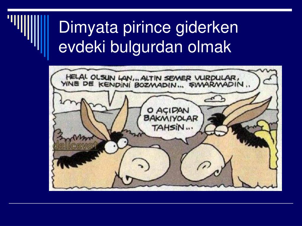 dimyata pirince giderken evdeki bulgurdan olmak