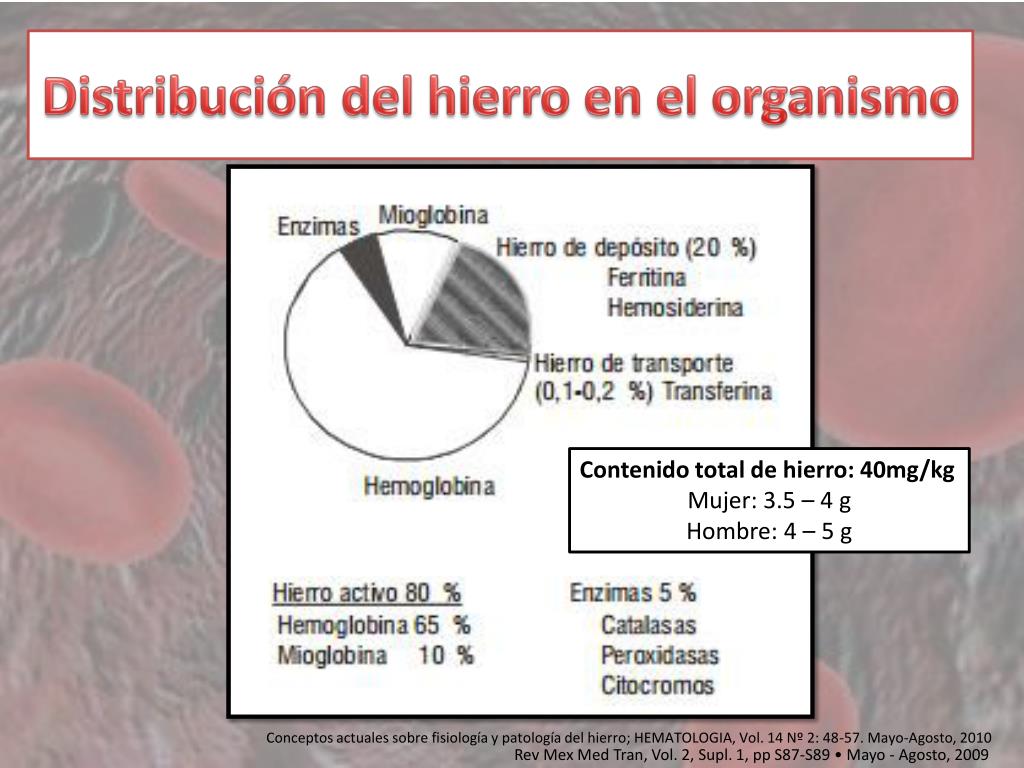 PPT - ANEMIA FERROPRIVA PowerPoint Presentation, free download - ID:3152078
