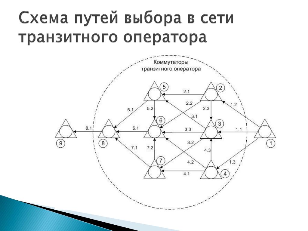 Сети транзитной организации