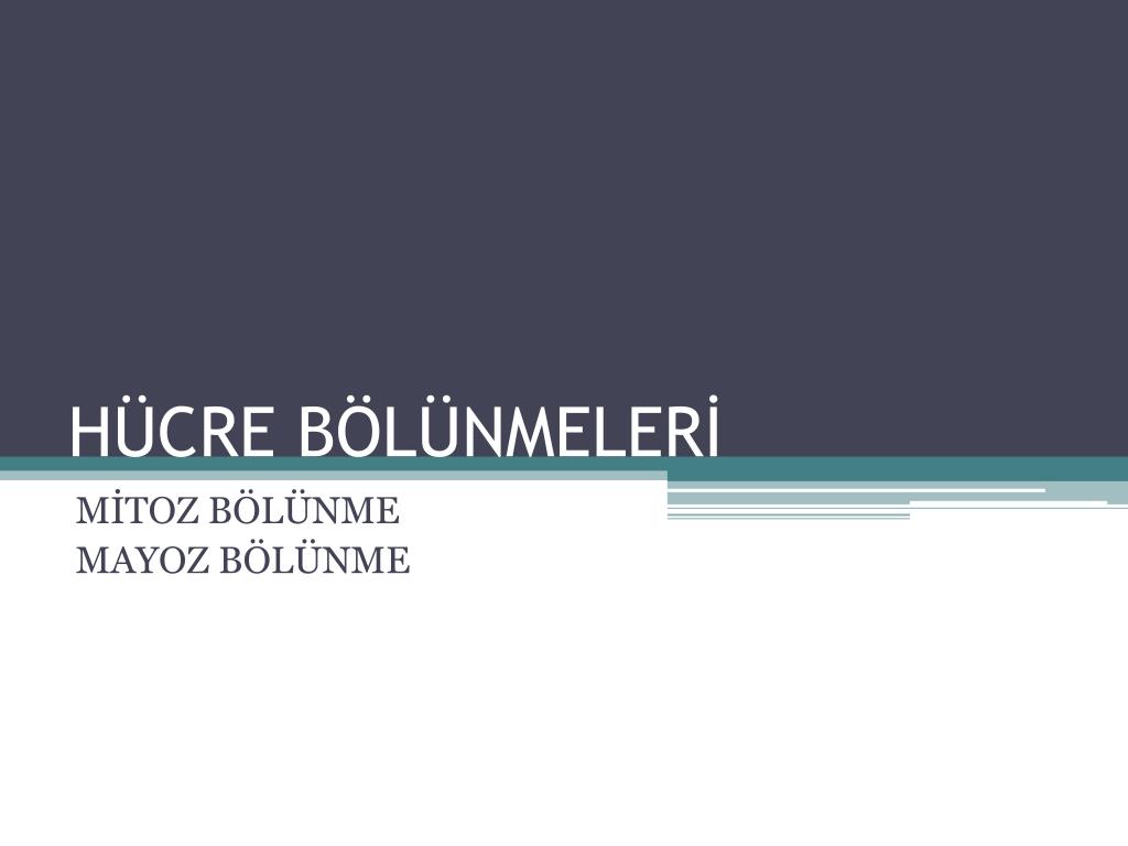 PPT - HÜCRE BÖLÜNMELERİ PowerPoint Presentation, free download - ID:3154041