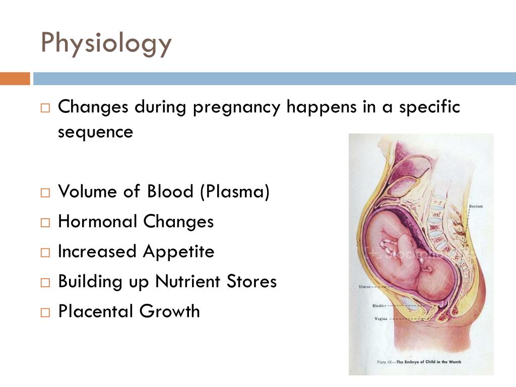 amniotic fluid color and texture amniotic fluid color and texture