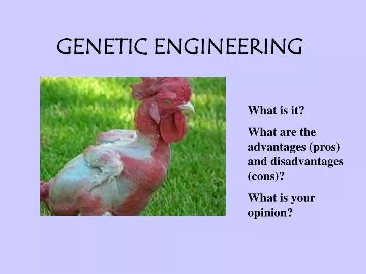 dangers of genetic engineering Genetic engineering, also called genetic modification or genetic manipulation, is the direct manipulation of an organism's genes using biotechnology it is a set of. dangers of genetic engineering Genetic engineering, also called genetic modification or genetic manipulation, is the direct manipulation of an organism's genes using biotechnology it is a set of.