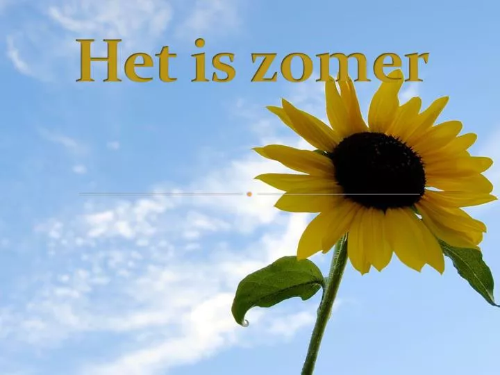 PPT - Het is zomer PowerPoint Presentation, free download - ID:3156777