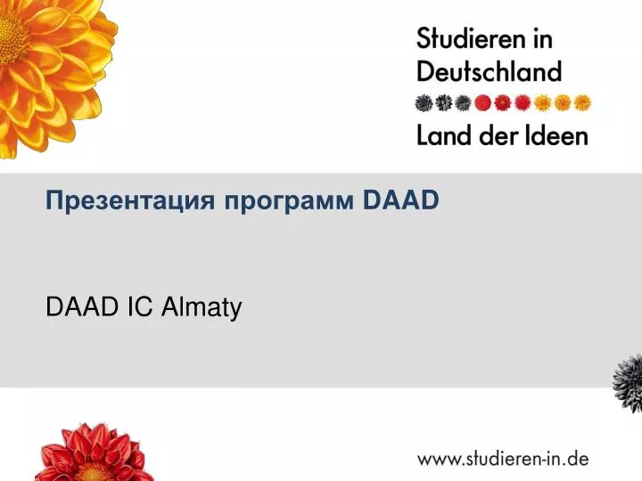PPT - Презентация программ DAAD PowerPoint Presentation - ID:3158158