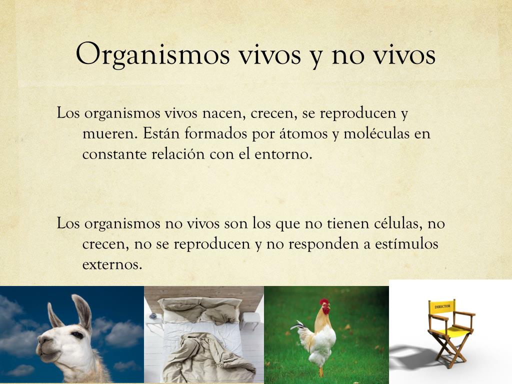 Ppt Los Organismos Vivos Y No Vivos Powerpoint Presentation Free