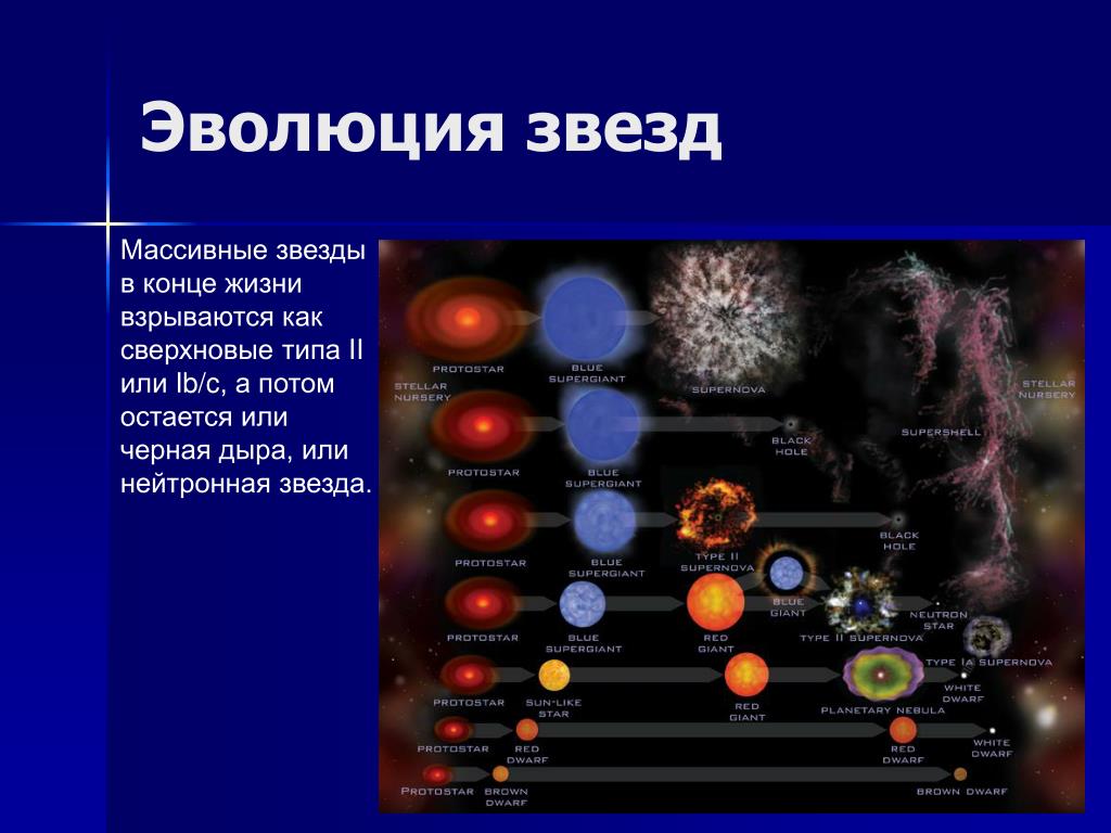 Финал эволюции звезды сканворд 7. Эволюция взрыв сверхновой звезды. Эволюция звезд нейтронная звезда. Эволюция очень массивных звезд. Схема эволюции нейтронных звезд.