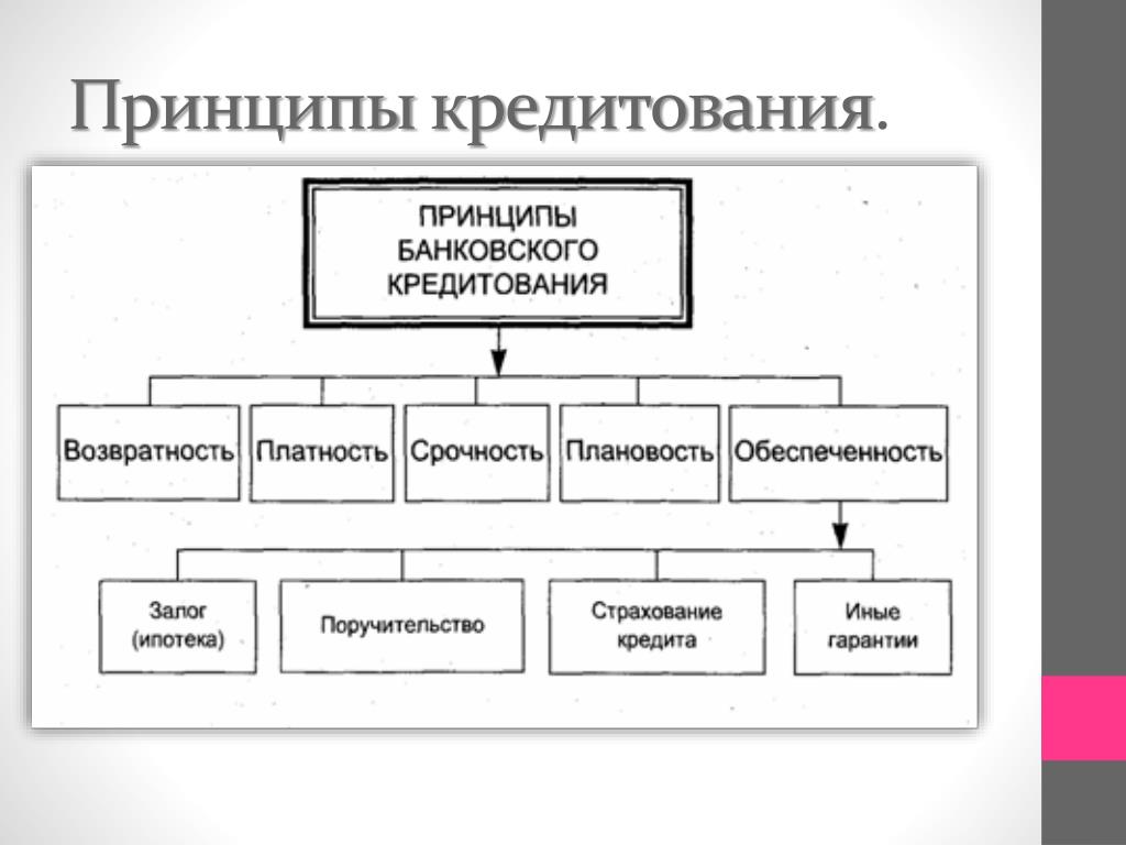 Экономика условия кредита