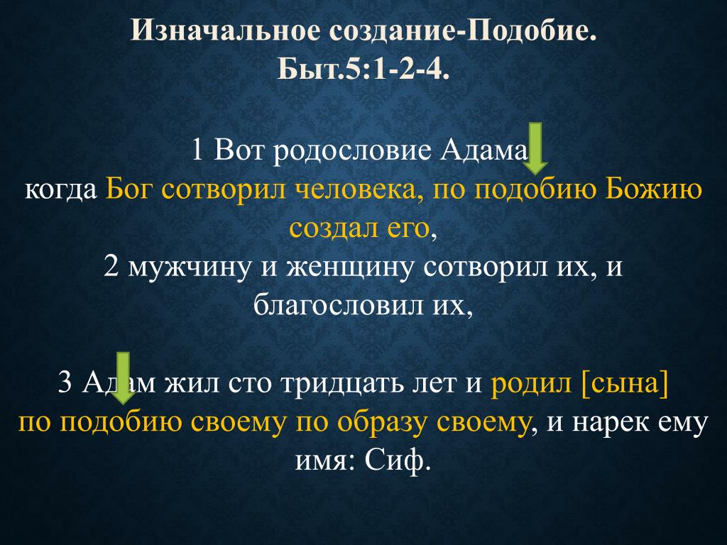 Человек создан по подобию божьему. Создать сайт по подобию. Мужчину и женщину сотворил их и благословил их и Нарек им имя. Вопросы по теме человека сотворил Бог или Эволюция.