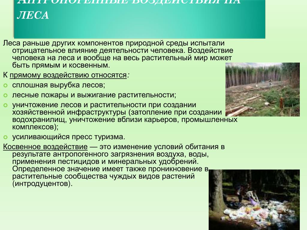 Примеры положительного влияния человека на ландшафт. Антропогенное воздействие на Лесные ресурсы. Антропогенное воздействие на леса. Факторы воздействия на природу. Влияние антропогенных факторов на леса.