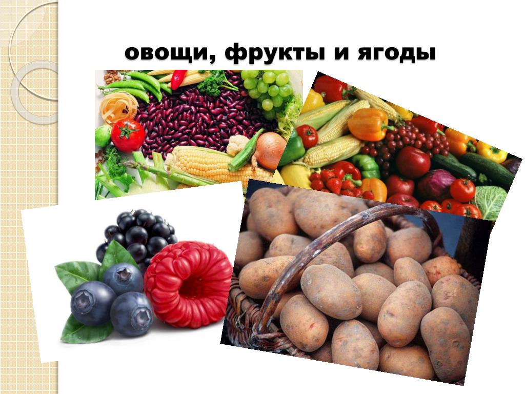 Плоды овощей и фруктов. Овощи, фрукты, ягоды. Классификация овощей фруктов ягод. Плоды овощи фрукты. Ассортимент плодов.