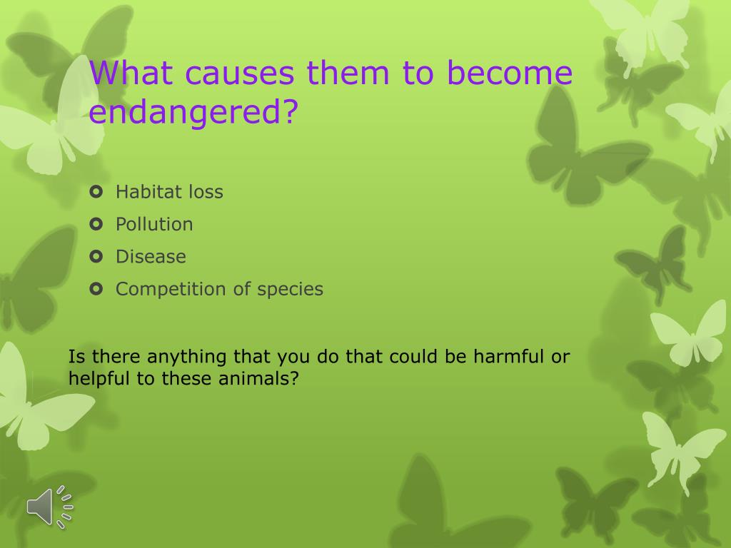 PPT - Endangered Species PowerPoint Presentation, free download - ID:3168348