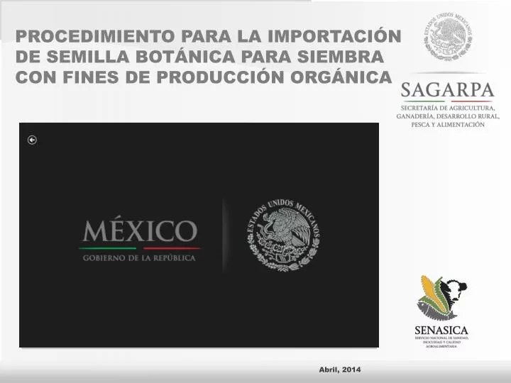 PPT - PROCEDIMIENTO PARA LA IMPORTACIÓN PowerPoint Presentation, Free ...