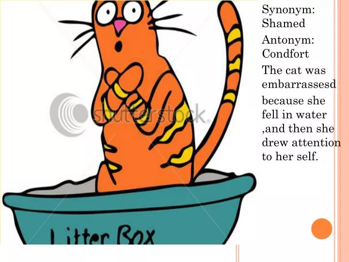 faux pas antonym