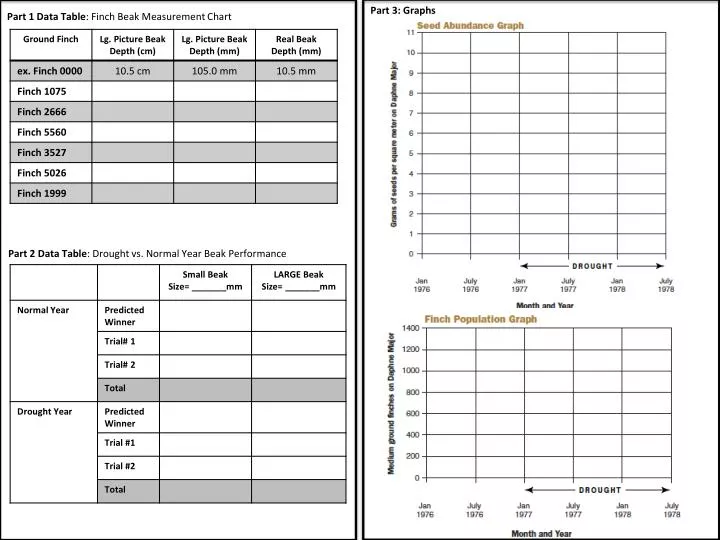 Data Measurement Chart