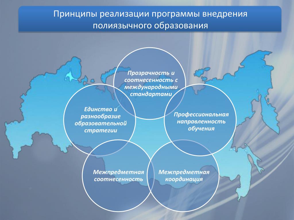 Реализация программы. Принципы реализации программы. Внедрение программы. Принципы внедрения.