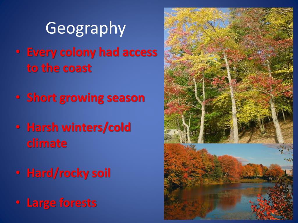 PPT - Colonial Culture Life in the Colonies, 1607 – 1776 PowerPoint ...