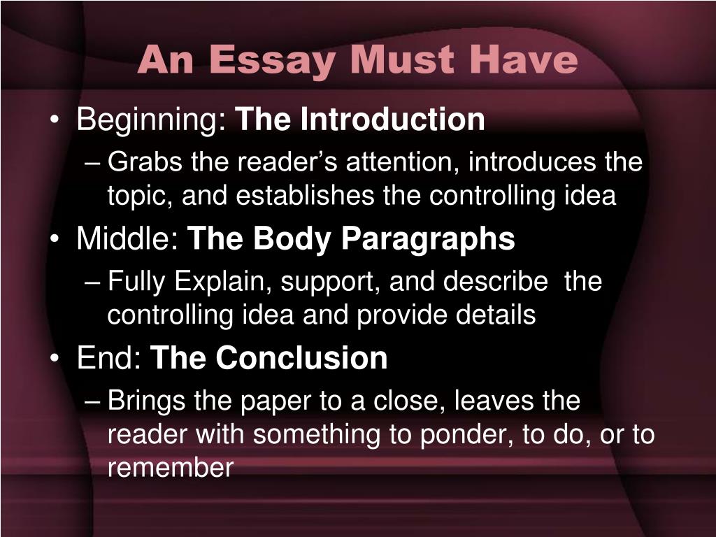 an essay must have