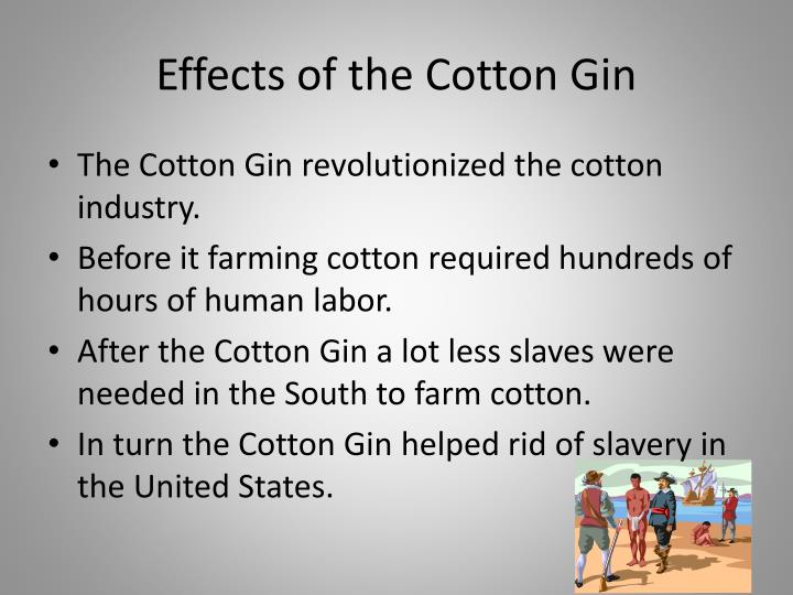 PPT Eli Whitney and the Cotton Gin 1793 PowerPoint Presentation ID