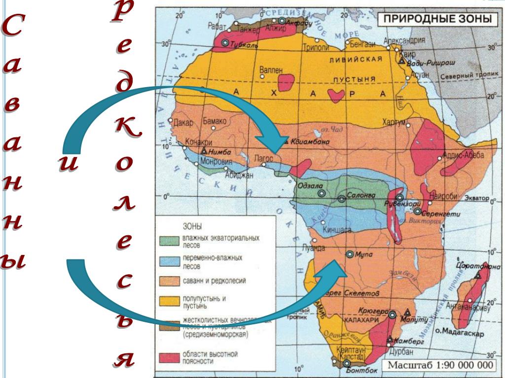 Три природные зоны африки. Карта природных зон Африки. Природные зоны Африки. Название природных зон Африки. Природные зоны Африки 7 класс.