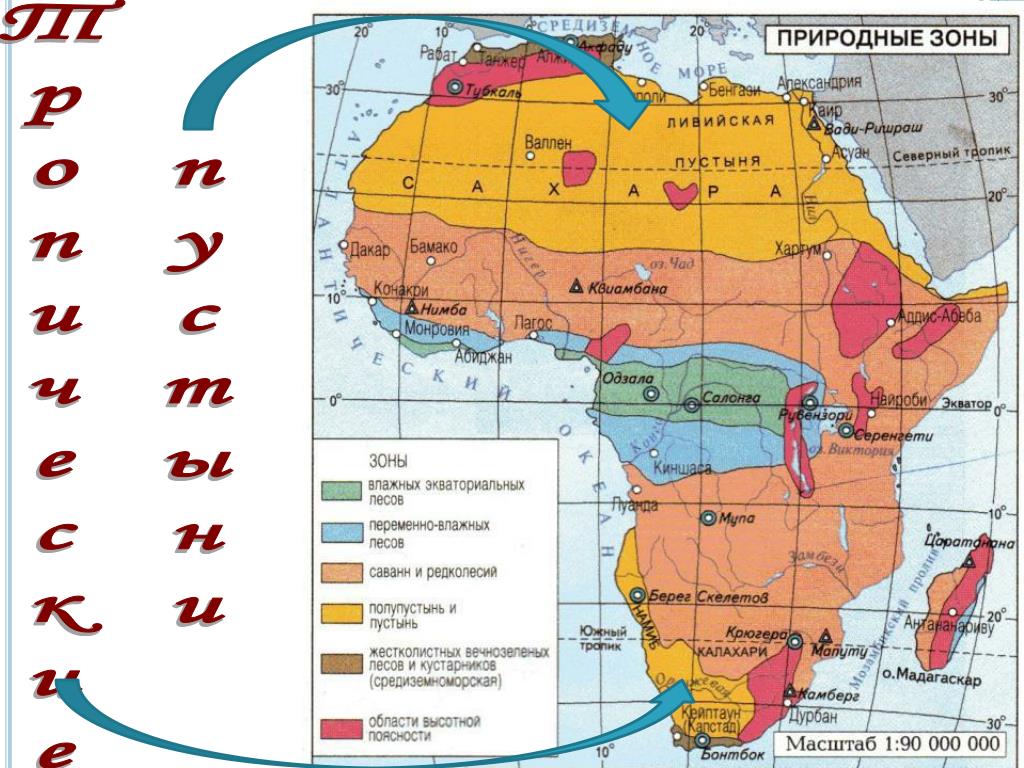 Наибольшую часть австралии занимают пояс. Карта природных зон Южной Африки. Экваториальные зоны Африки. Географическая карта Африки природные зоны. Тропическая зона Африки.