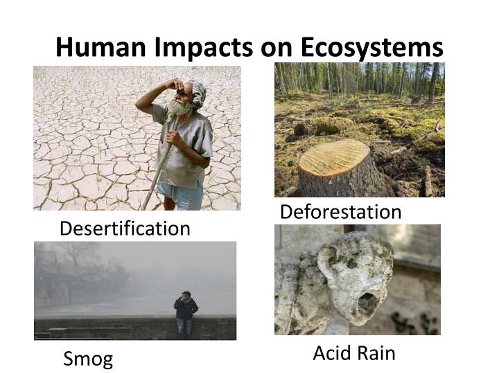 PPT - Chapter 6: Humans In The Biosphere PowerPoint Presentation - ID ...