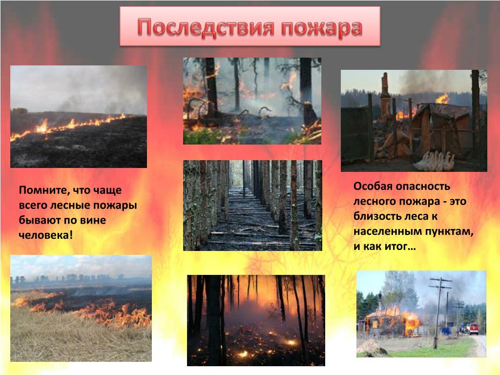 Какие последствия для природы и экономики. Причины и последствия пожаров. Последствия природных пожаров. Последствия лесоторфяных пожаров.