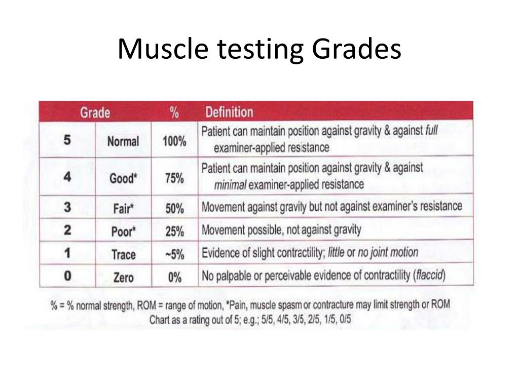 Muscle Testing Chart
