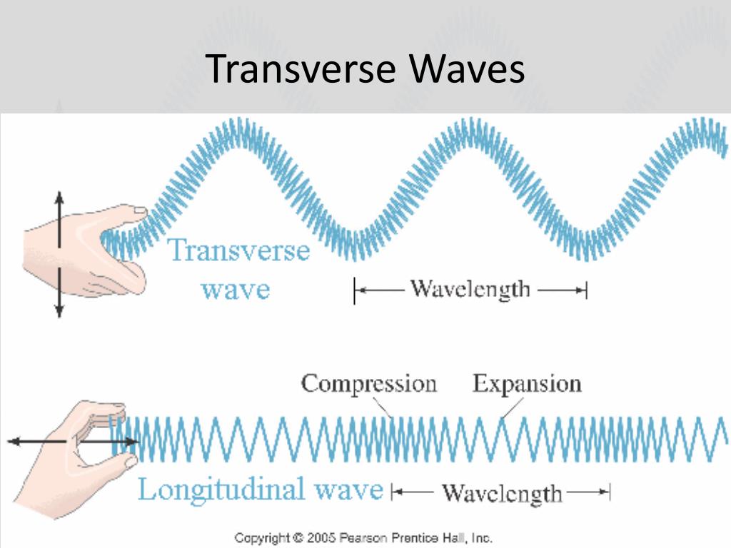 PPT Waves PowerPoint Presentation Free Download ID 3187933 PPT Waves PowerPoint Presentation Free Download ID 3187933