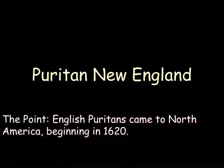 puritan new england n.