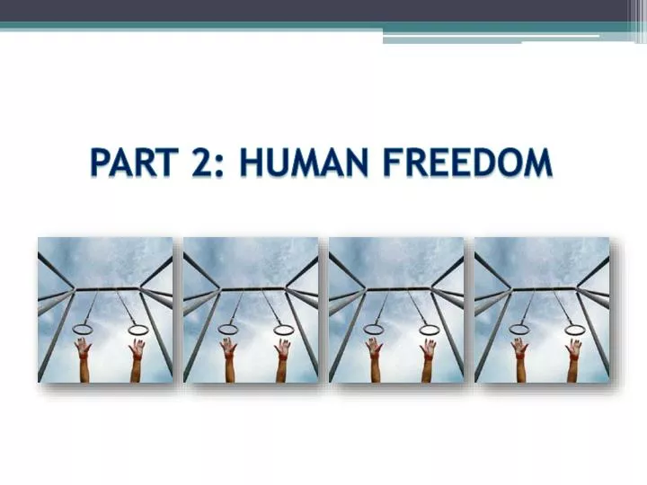 freedom of the human person essay brainly