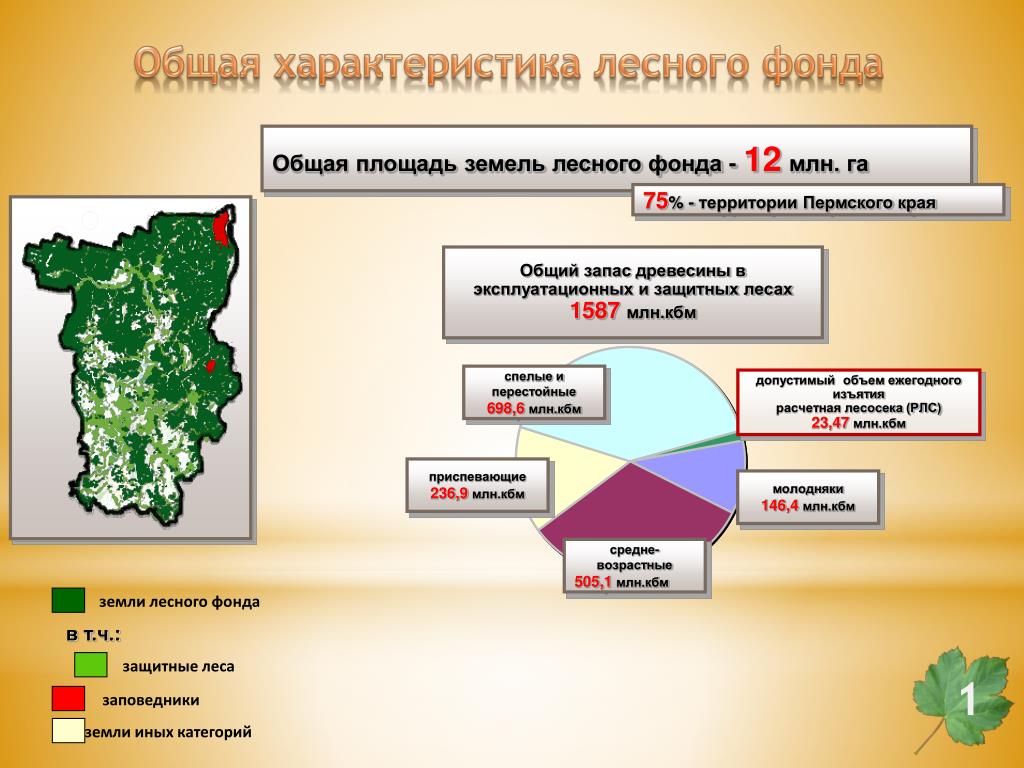 Площадь лесного фонда россии