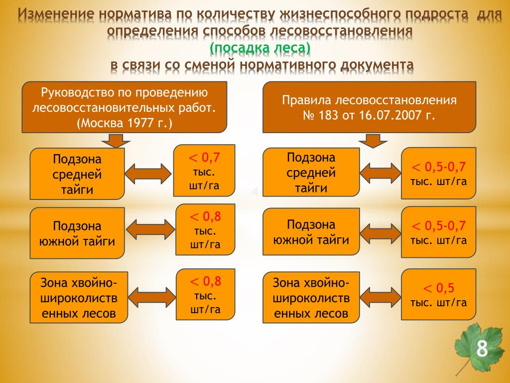 Презентация на тему "Восстановление и формирование леса в Есеновичском лесничест