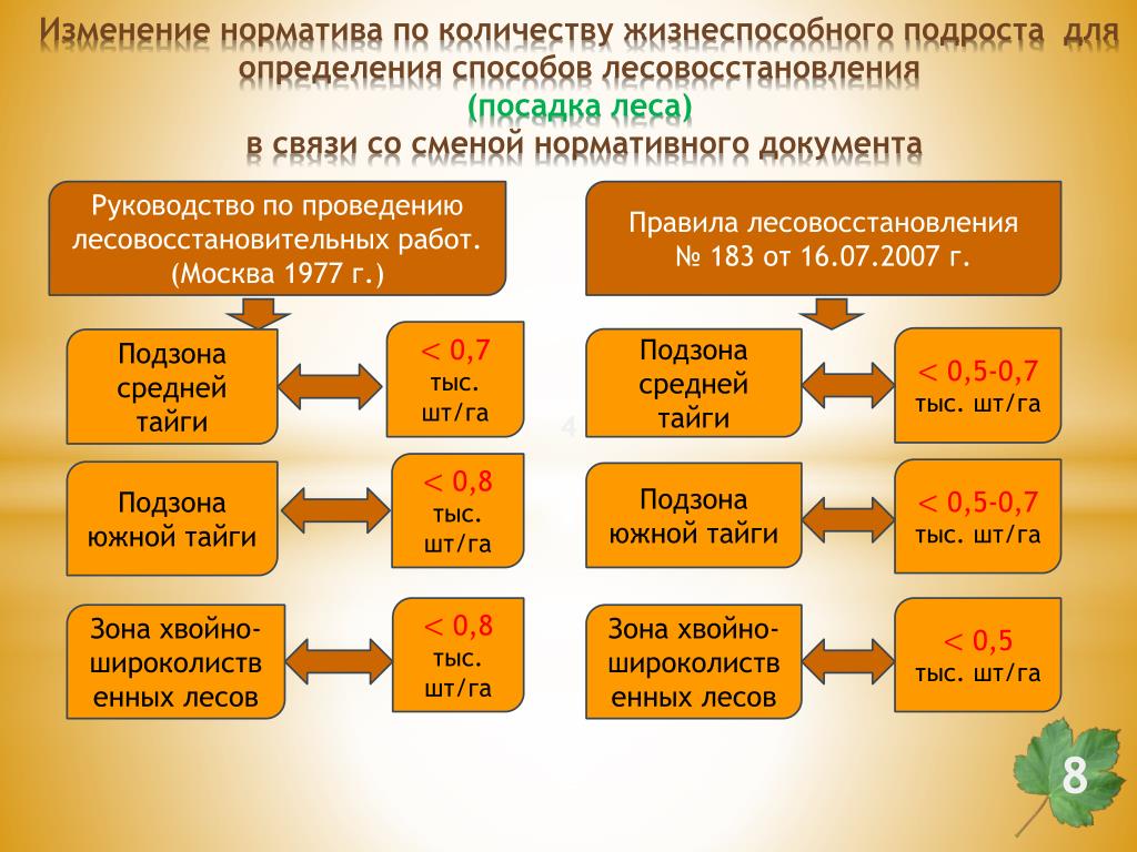 Правила лесовосстановления 1024