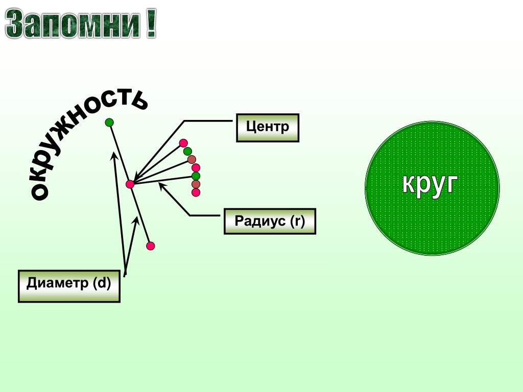 Радиус круга 10. Центр радиуса. Центр радиус диаметр. D диаметр. Диаметр r.