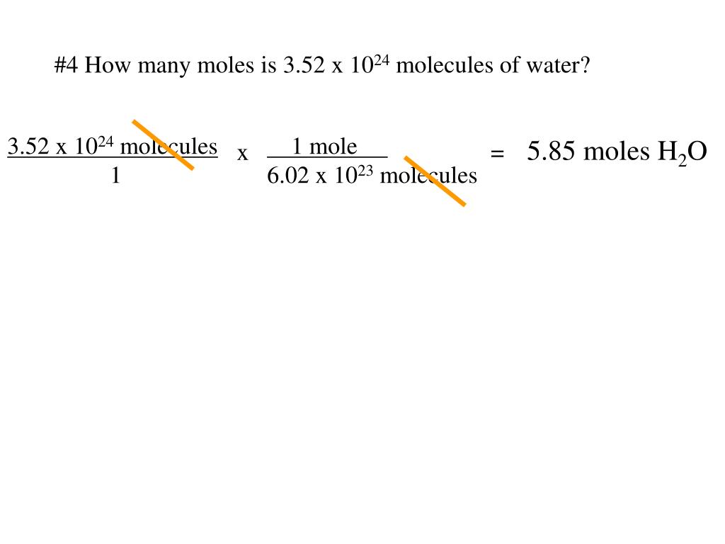 PPT 1 What is the molar mass of sucrose? (C 12 H 22 O