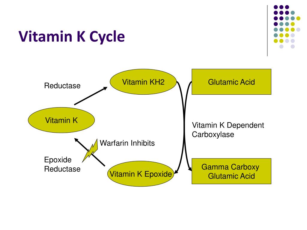 PPT Vitamin K & Coagulation PowerPoint Presentation, free download