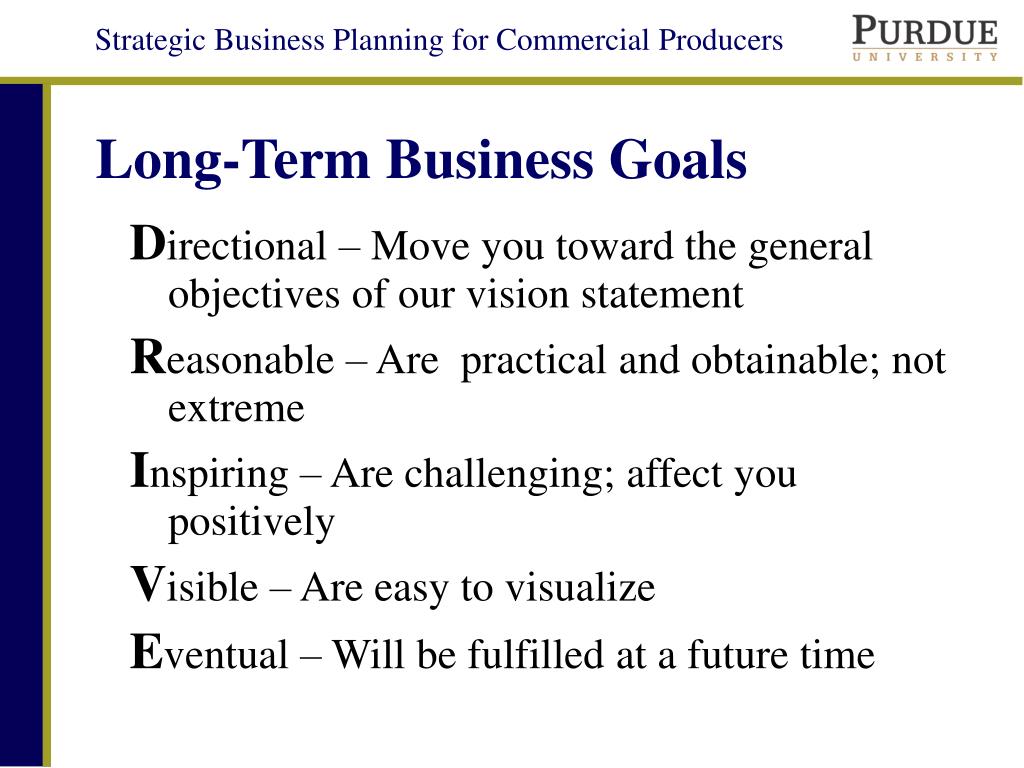 long term goals in a business plan