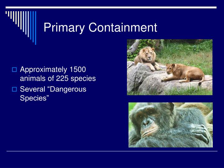 response to are zoos good or Persuasive essay response to the topic: “it is cruel to keep animals in cages at zoos” there is a good structure. response to are zoos good or Persuasive essay response to the topic: “it is cruel to keep animals in cages at zoos” there is a good structure.
