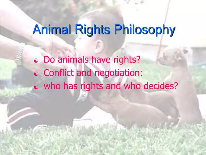 PPT - Animal Rights Philosophy PowerPoint Presentation, free download ...