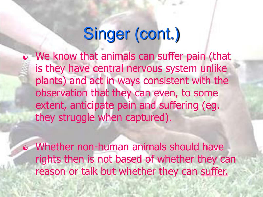 PPT - Animal Rights Philosophy PowerPoint Presentation, free download -  ID:3196937
