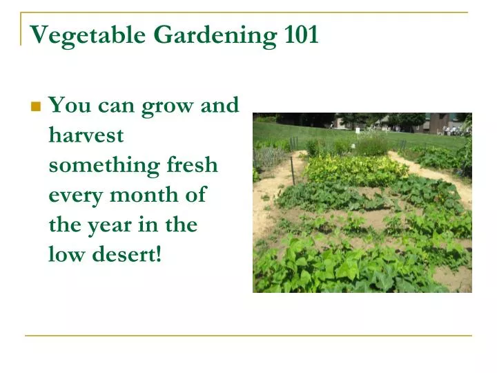 vegetable gardening download free vegetable gardening download free