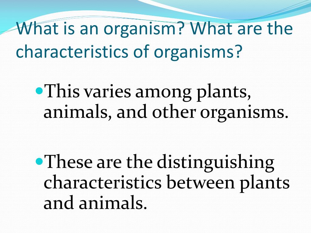 Characteristics of Plants and Animals