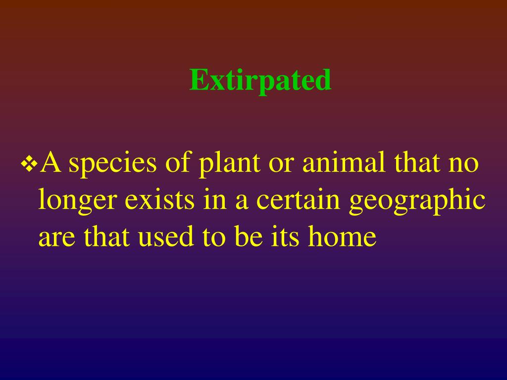 PPT - Special Animals of the California Central Valley PowerPoint ...