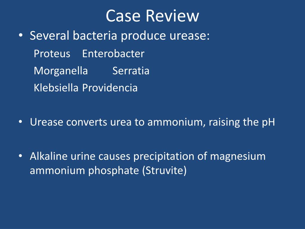 PPT - Uroradiology For Medical Students PowerPoint Presentation, free ...