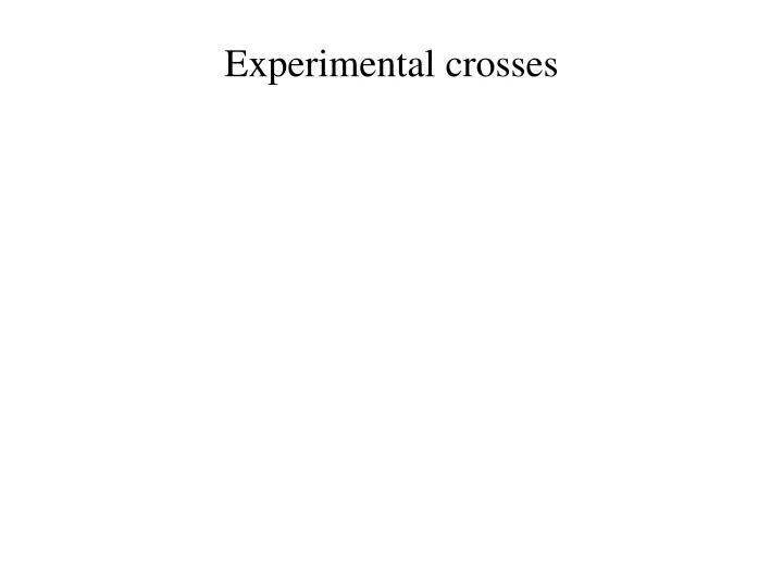 experimental crosses n.